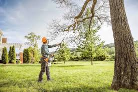 Best Organic Lawn Care Solutions  in Atasdero, CA