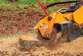 Best Utility Line Clearance  in Atasdero, CA